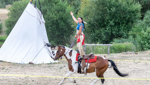 Action-Show mit Pferden