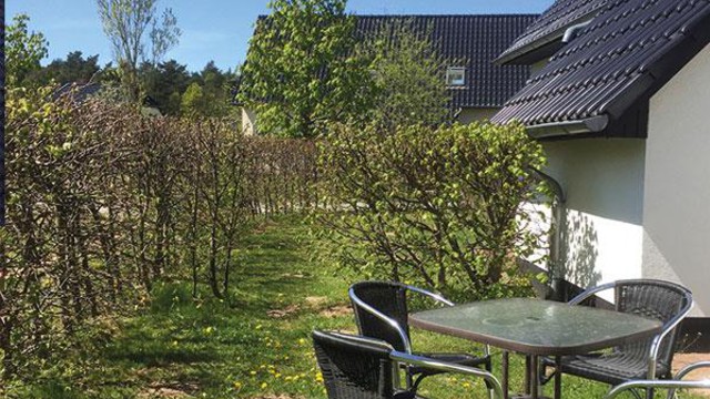 Tuin